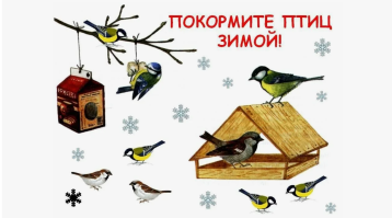 "Покормите птиц зимой" "Покормите птиц зимой".