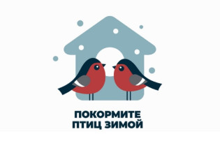 "Зимующие птицы" Аппликация(коллективная работа) "Покормите птиц зимой" "Зимующие птицы" Аппликация(коллективная работа) "Покормите птиц зимой".