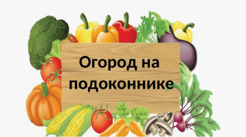 "Огород на окошке". "Огород на окошке".