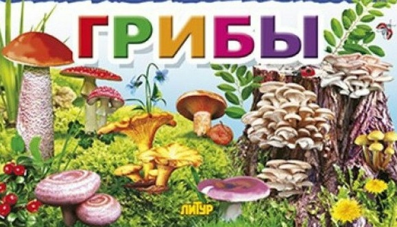 "Грибы" "Грибы".