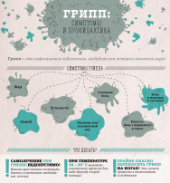 Профилактика гриппа Профилактика гриппа.